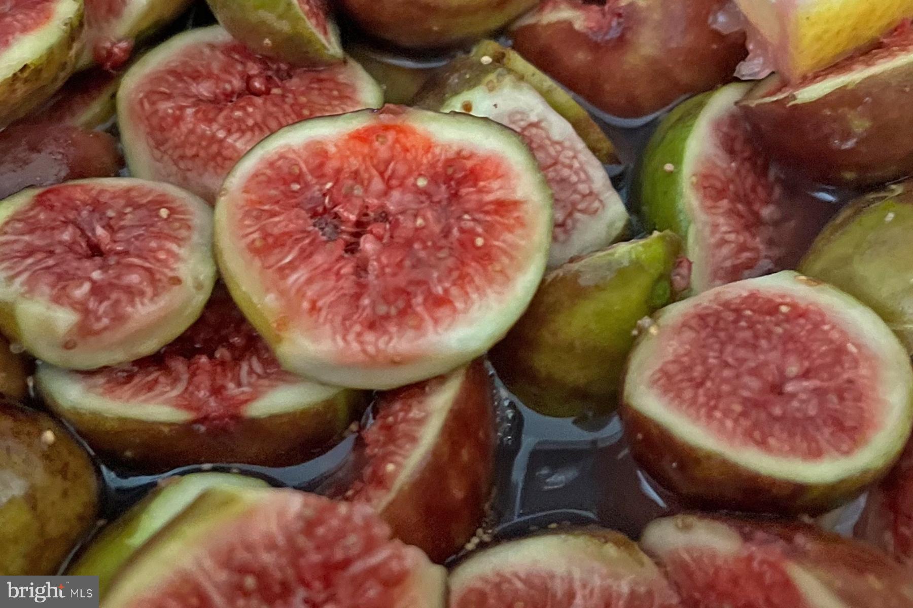 18605 Road 255 Georgetown, DE 19947 - Photo 89 of 93