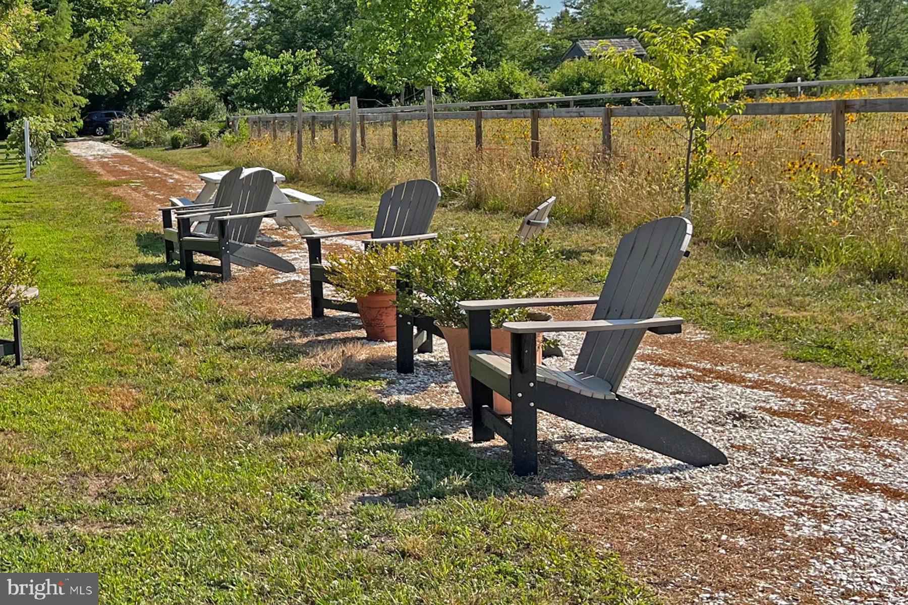 18605 Road 255 Georgetown, DE 19947 - Photo 90 of 93