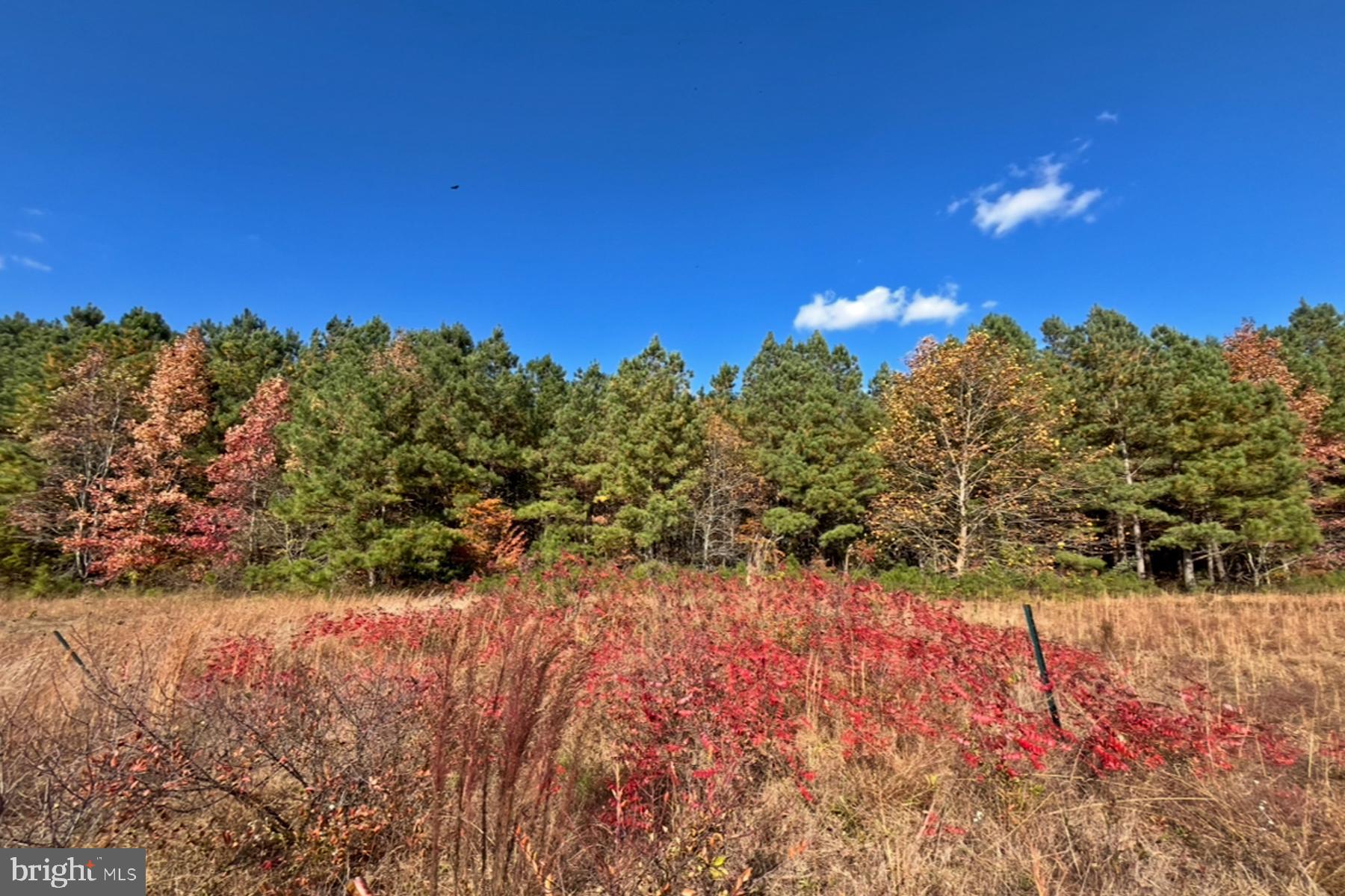 18605 Road 255 Georgetown, DE 19947 - Photo 91 of 93