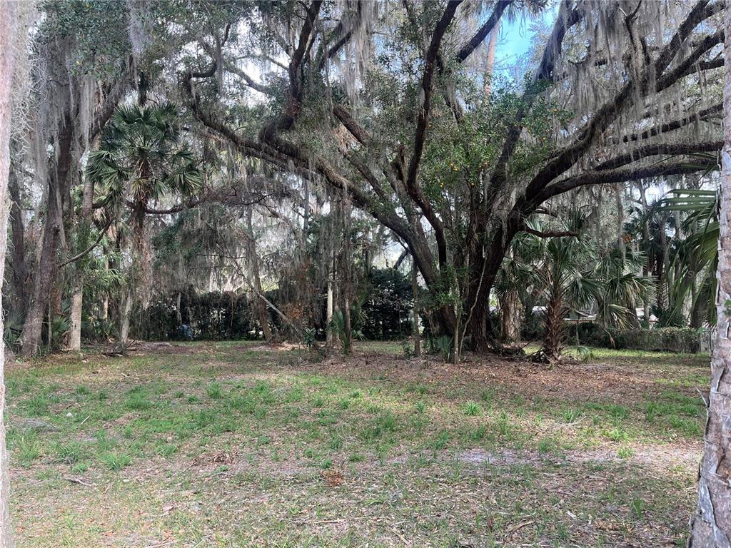 183rd Avenue Hawthorne, FL 32640 - Photo 1 of 16