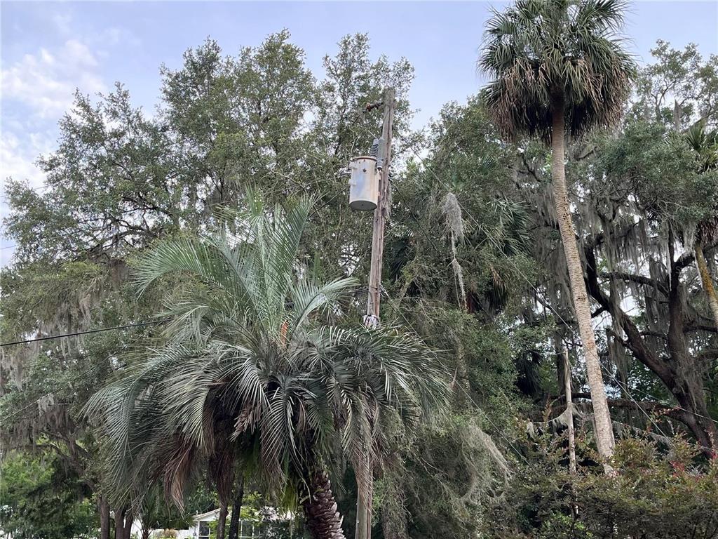 183rd Avenue Hawthorne, FL 32640 - Photo 12 of 16