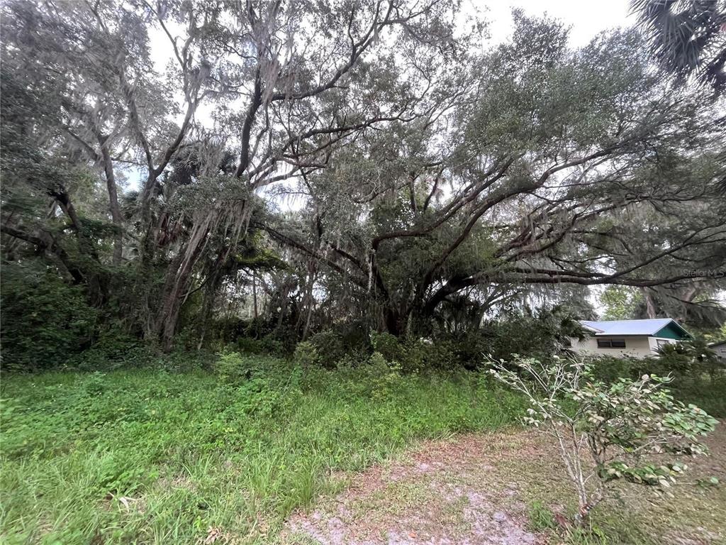 183rd Avenue Hawthorne, FL 32640 - Photo 13 of 16