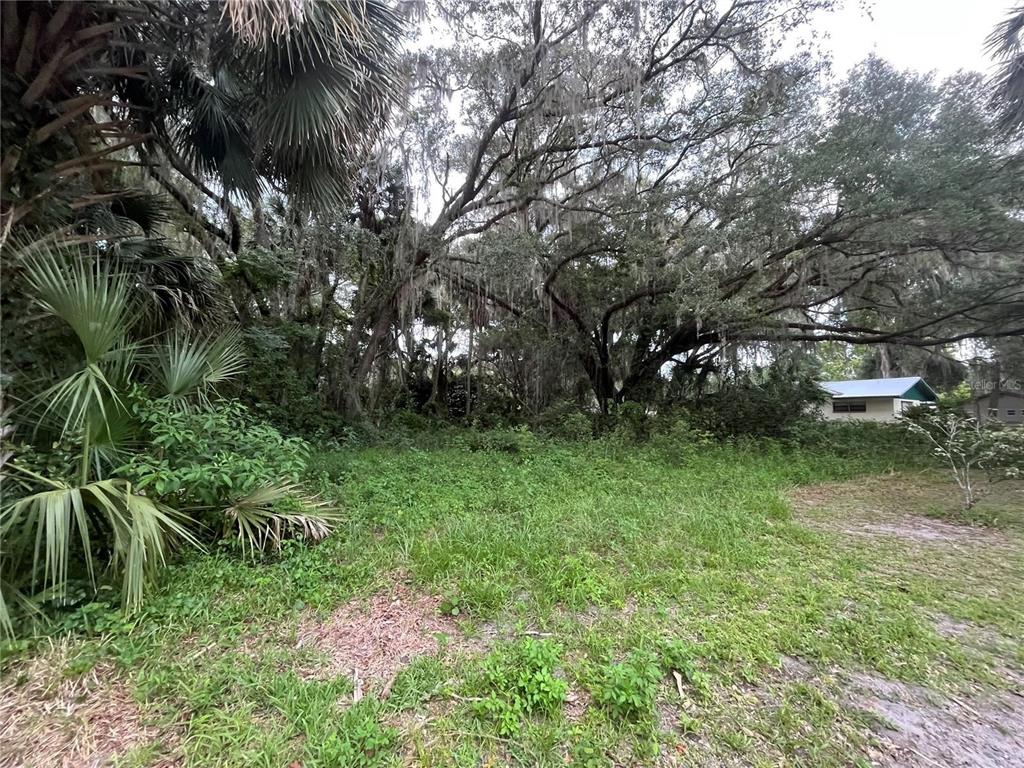 183rd Avenue Hawthorne, FL 32640 - Photo 10 of 16