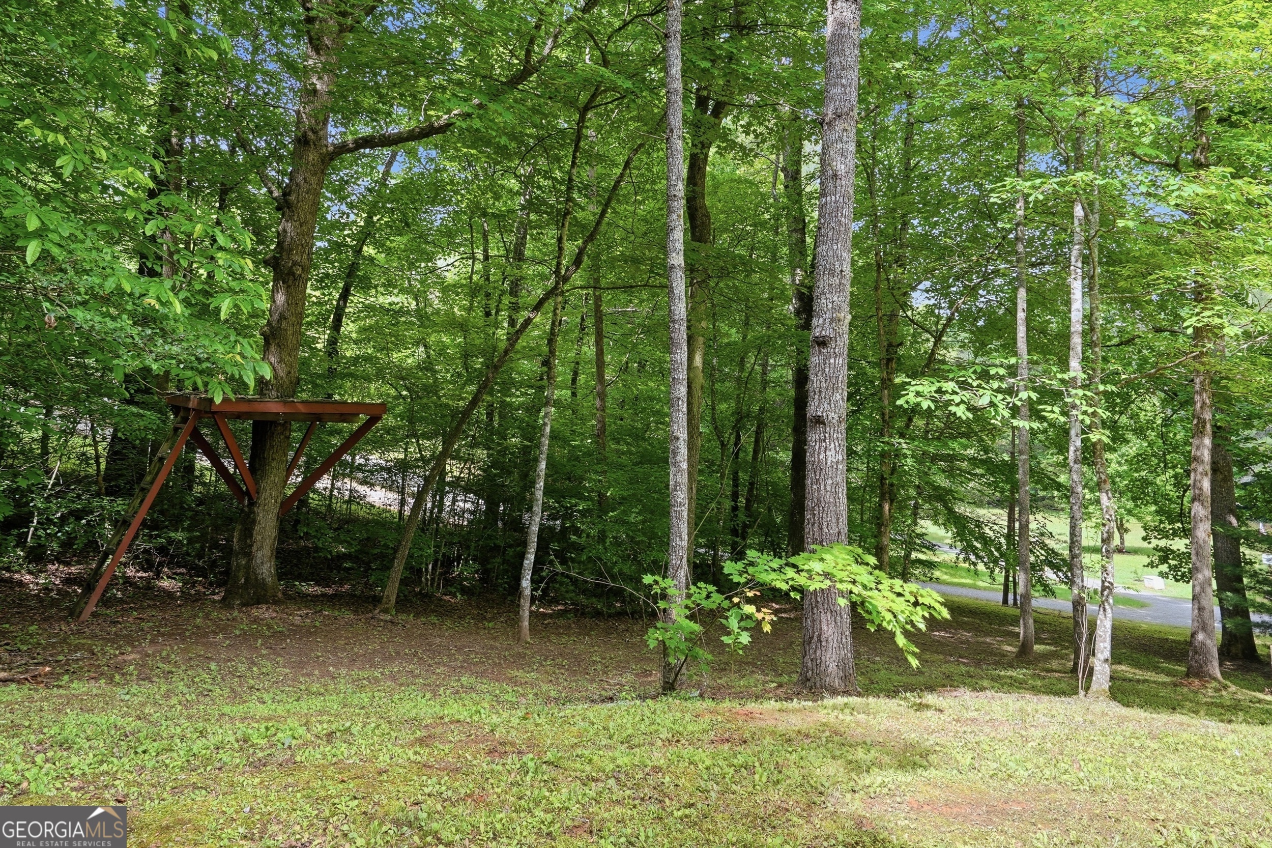 58 Brandys Way Murphy, NC 28906 - Photo 4 of 39