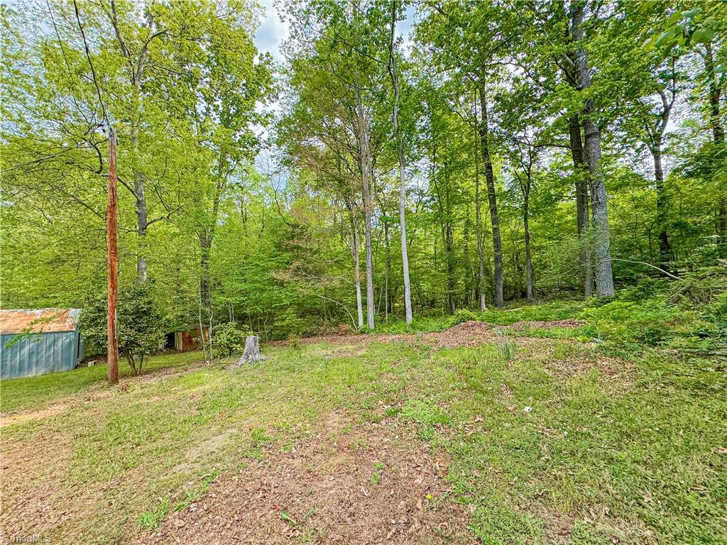 5326 Nola Street Trinity, NC 27370 - Photo 19 of 25