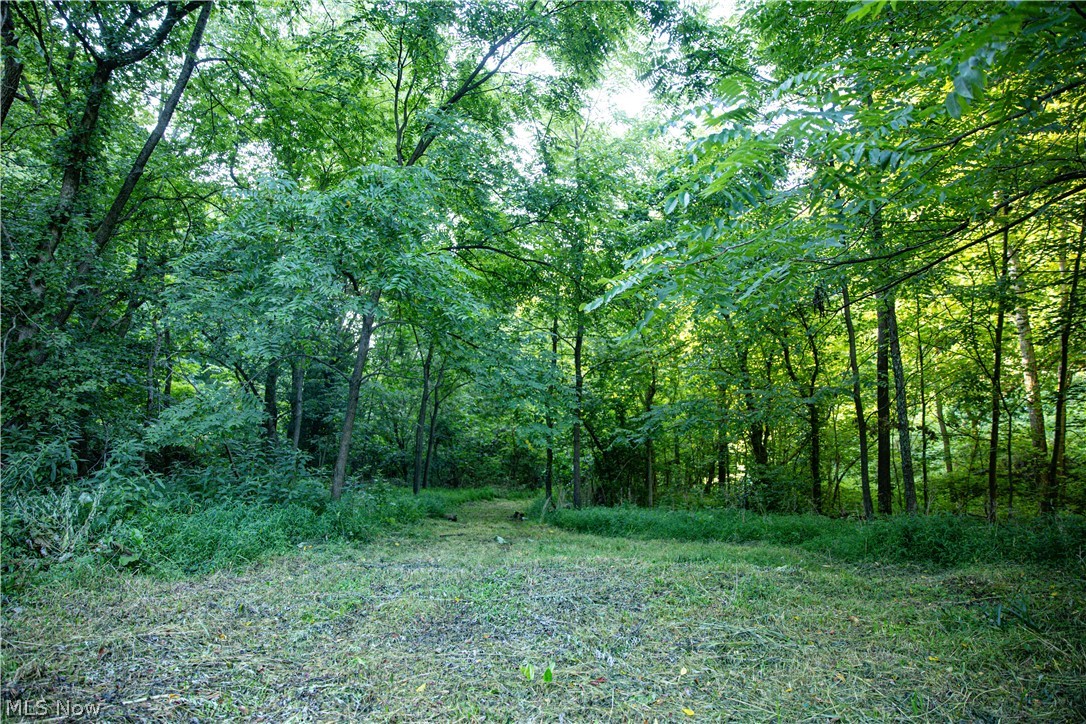 52982 Wegee Road Shadyside, OH 43947 - Photo 16 of 48