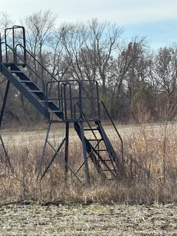 0 Southwest Th Road Butler, MO 64730 - Photo 11 of 18