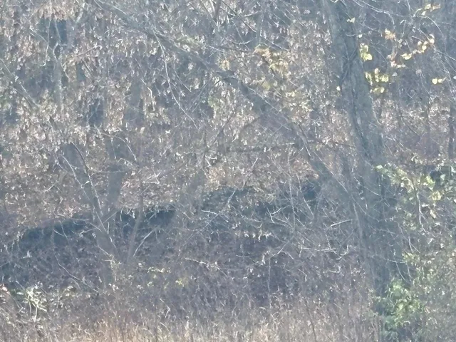 $375,000 | 0 Southwest Th Road, Butler, MO 64730