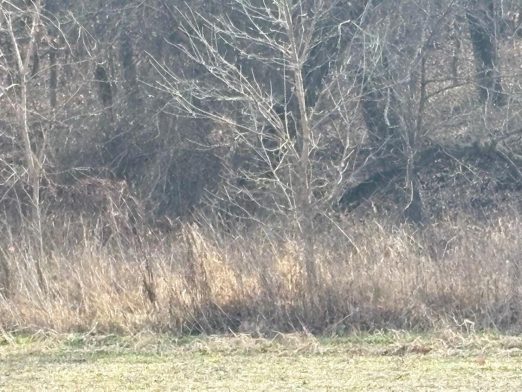 0 Southwest Th Road Butler, MO 64730 - Photo 15 of 18