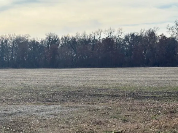 $375,000 | 0 Southwest Th Road, Butler, MO 64730