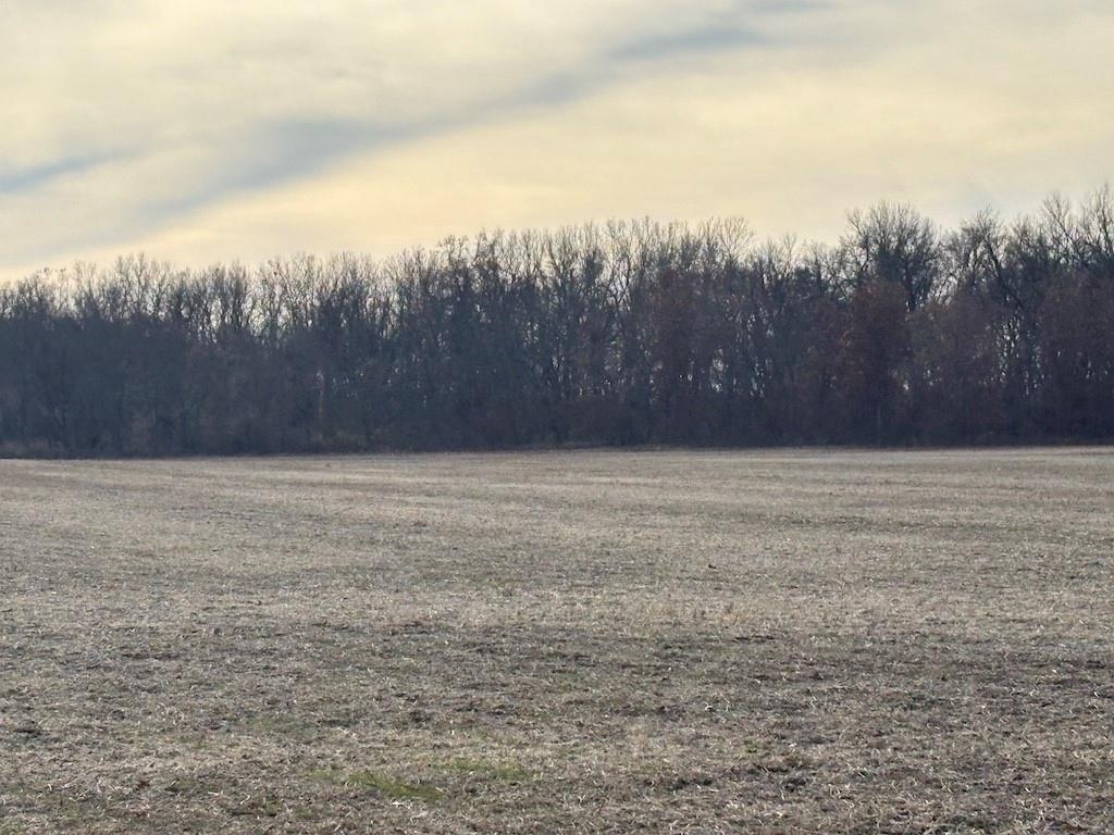 0 Southwest Th Road Butler, MO 64730 - Photo 5 of 18
