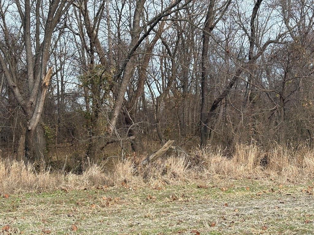 0 Southwest Th Road Butler, MO 64730 - Photo 8 of 18