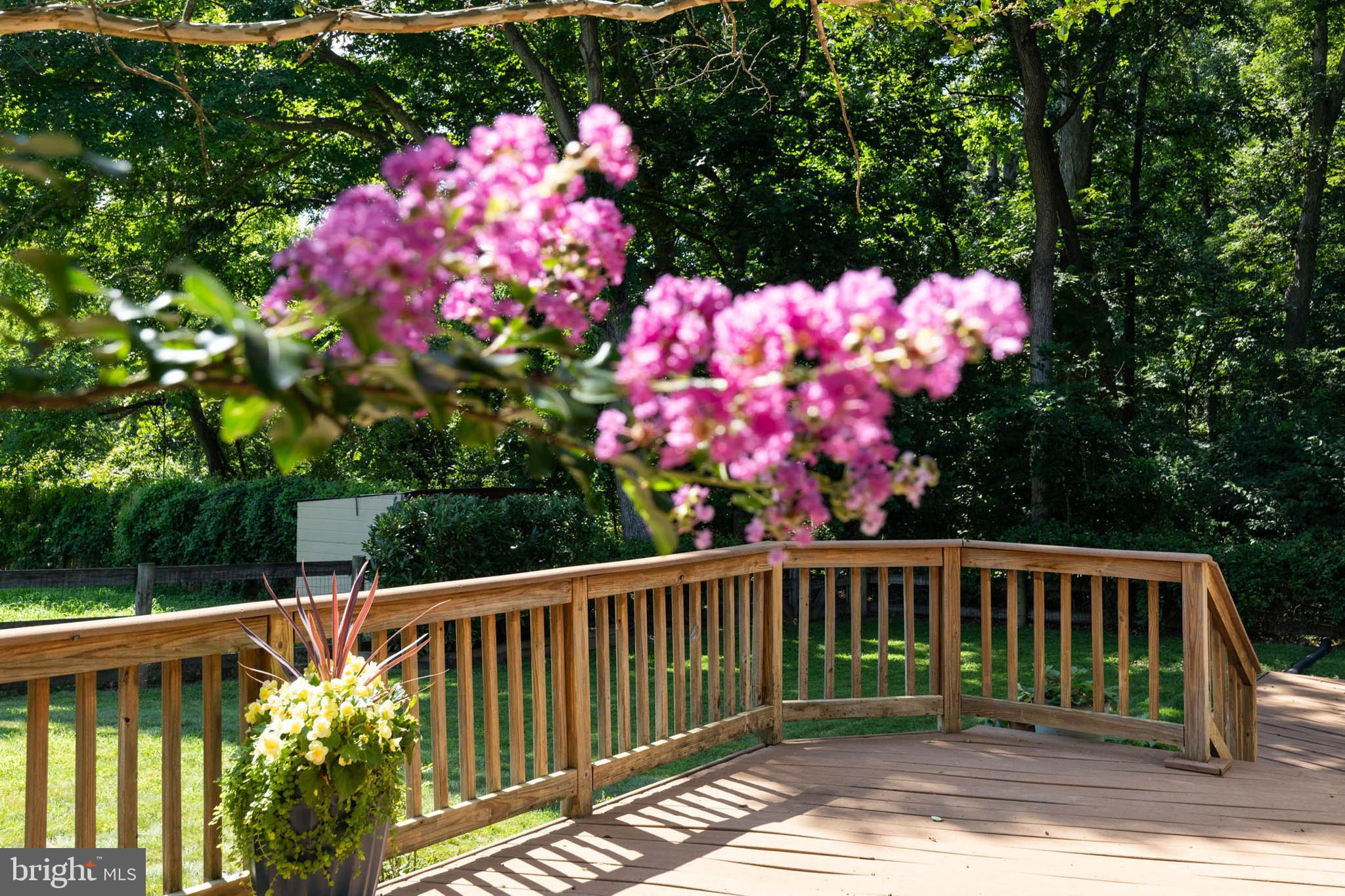 9305 Soaring Hill Road Columbia, MD 21045 - Photo 56 of 63 Gallery Image 56