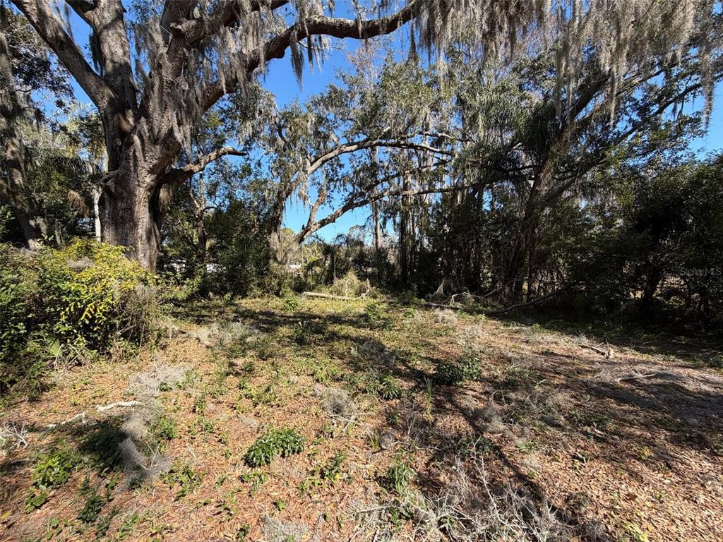 5522 Baker Road New Port Richey, FL 34653 - Photo 11 of 11