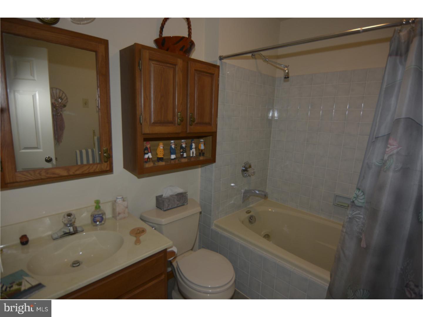 7 North Arthur Drive Sinking Spring, PA 19608 - Photo 15 of 23 Master Bathroom