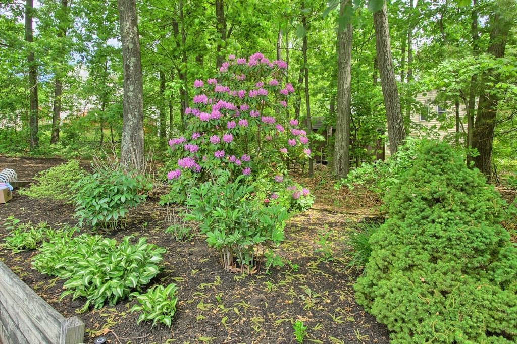 32 Edgehill Road Haverhill, MA 01830 - Photo 28 of 30 Gallery Image 28