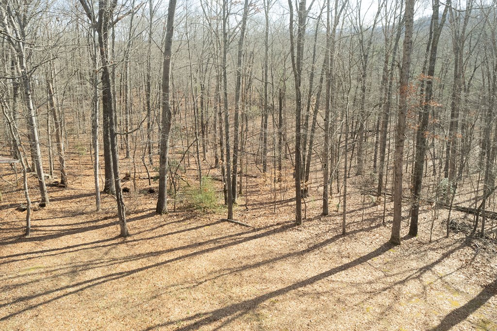 665 Davis Road Blue Ridge, GA 30513 - Photo 30 of 34