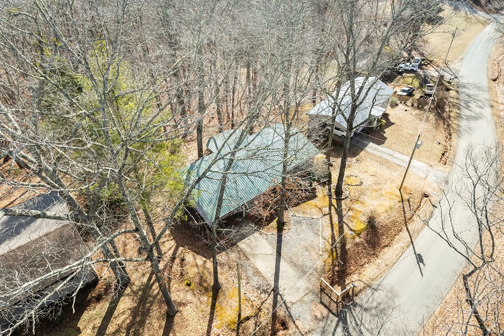 665 Davis Road Blue Ridge, GA 30513 - Photo 33 of 34