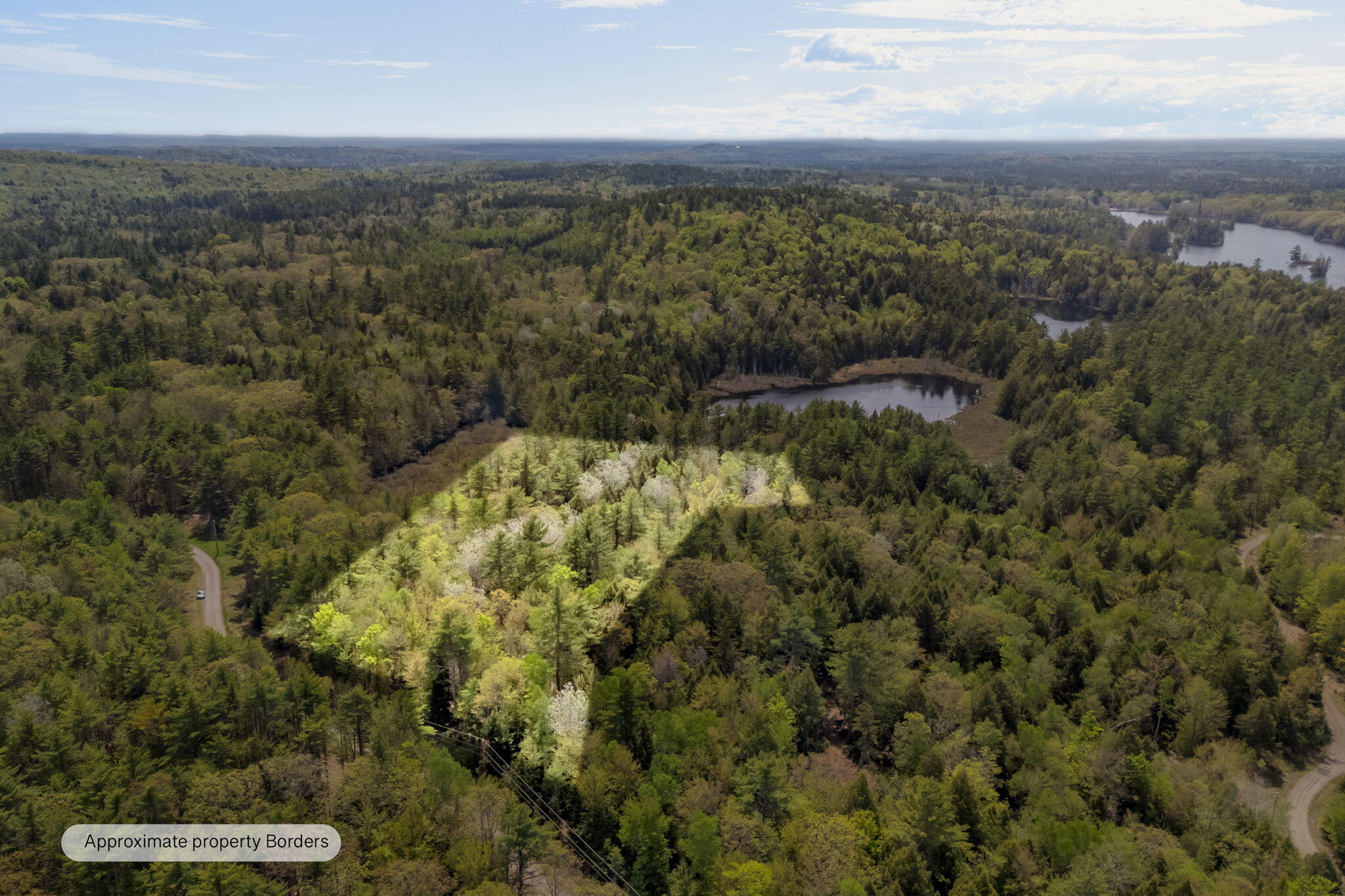 14 Beaver Ridge Road Palermo, ME 04354 - Photo 7 of 26 Building lot