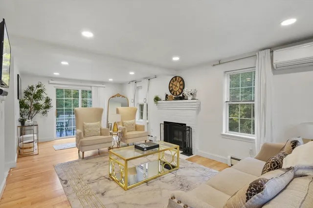 a living room with furniture a fireplace and a potted plant