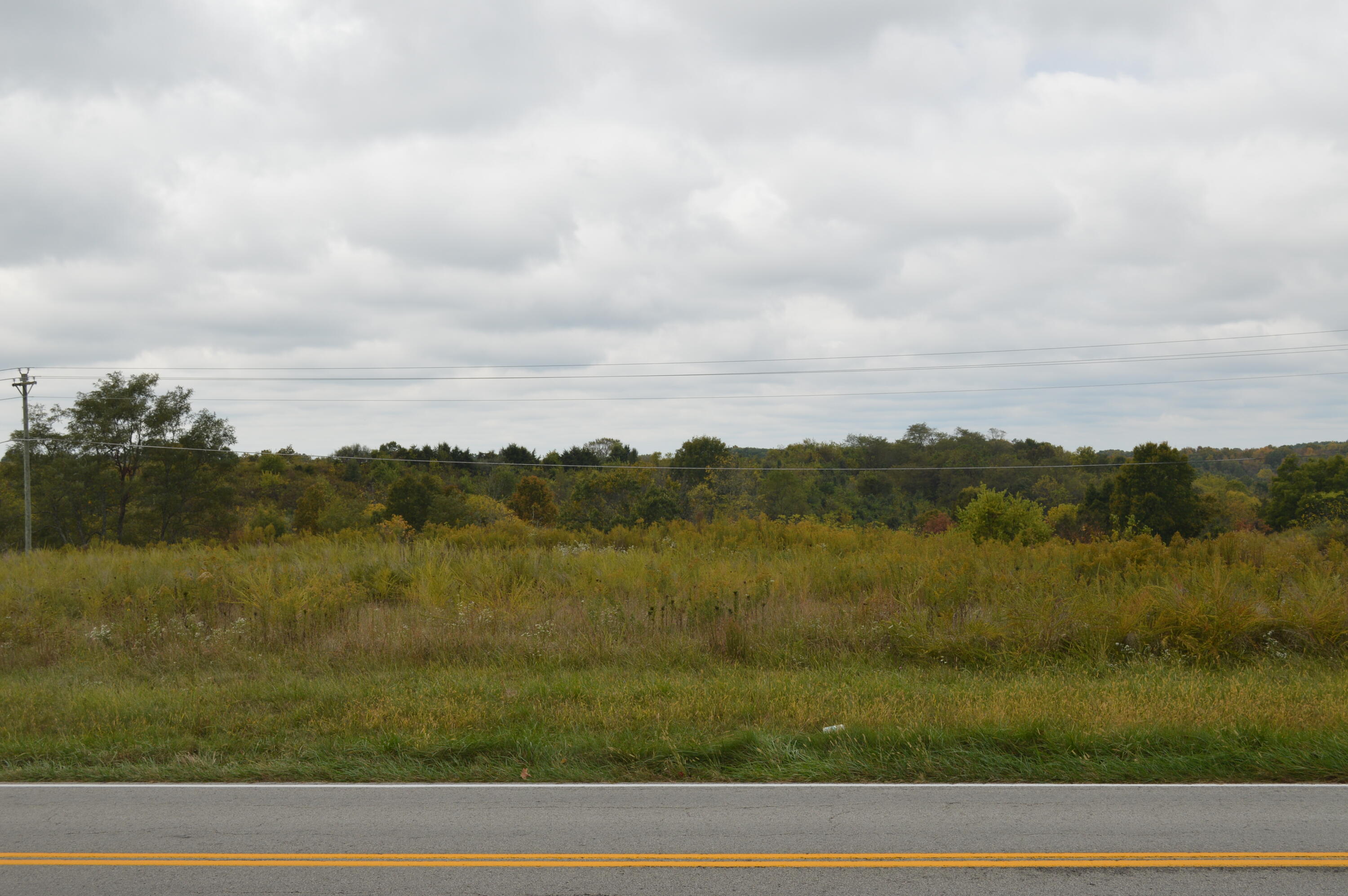 Lot #1 Georgetown Road Owenton, KY 40359 - Photo 5 of 12