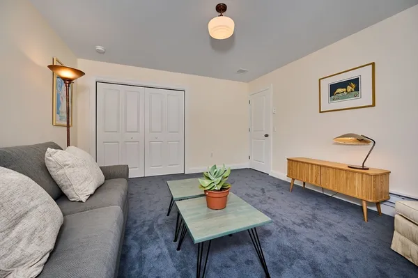 a living room with furniture flowerpot and wooden floor