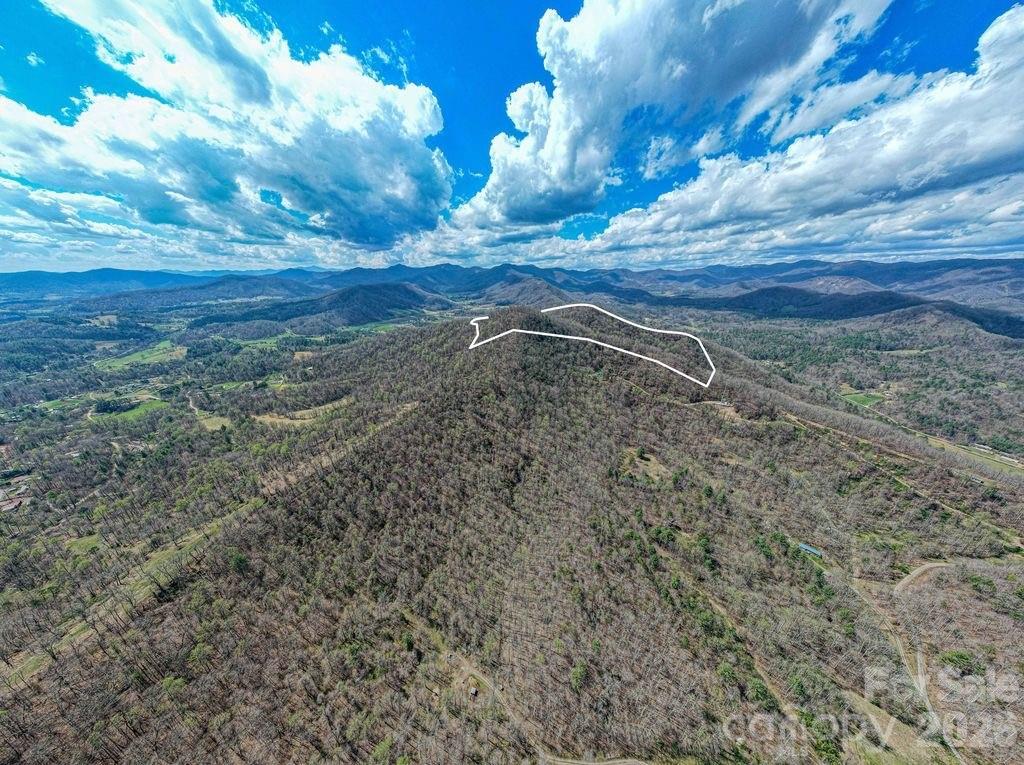 9999 Sandy Mush Creek Road Leicester, NC 28748 - Photo 2 of 9