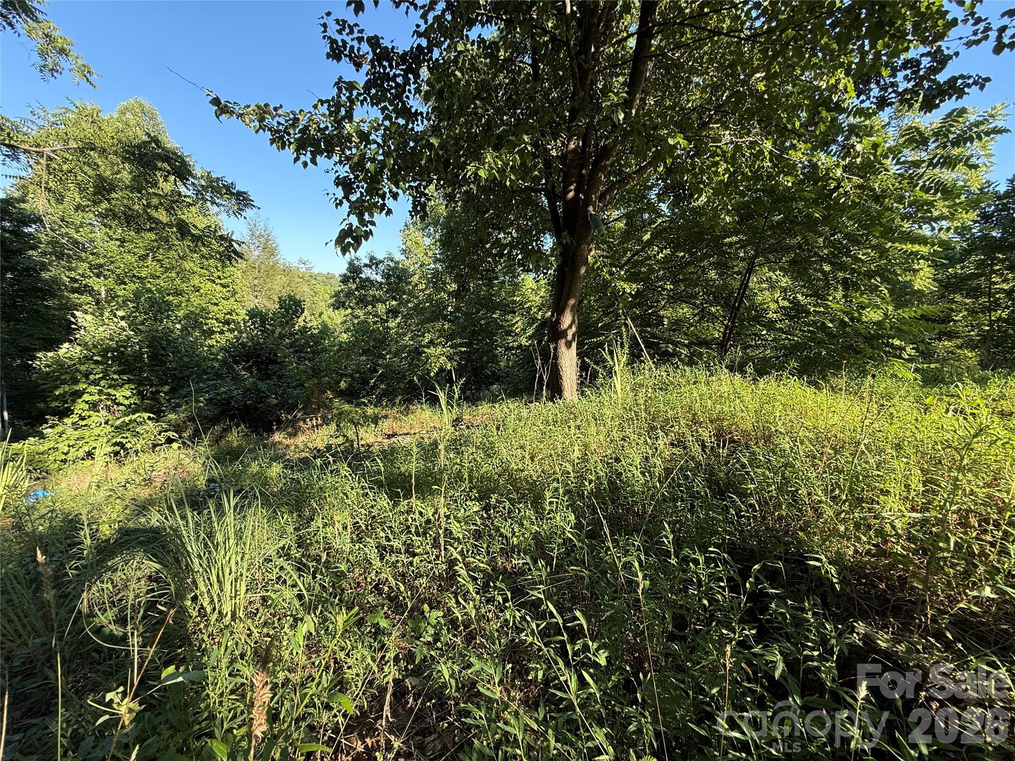 3028 Playmore Beach Road Morganton, NC 28655 - Photo 28 of 30