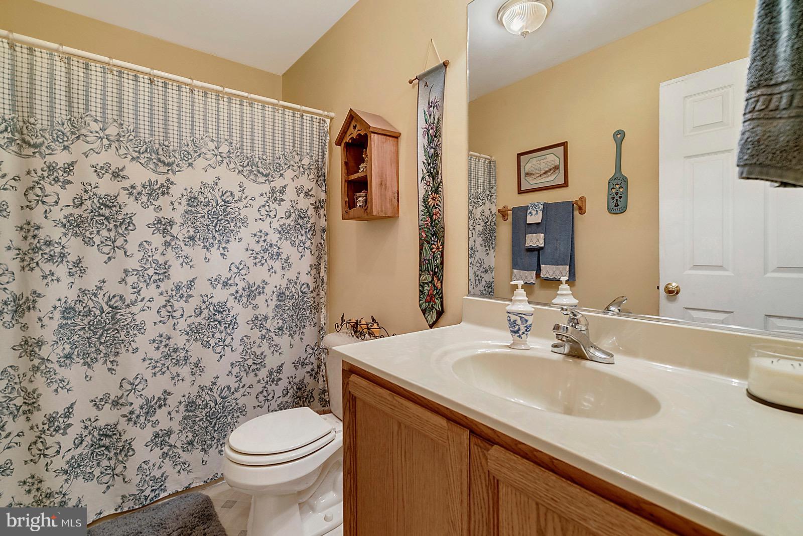 20065 Crooked Run Road Culpeper, VA 22701 - Photo 12 of 37 Hall full bath