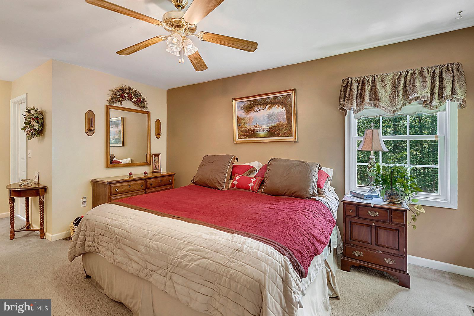 20065 Crooked Run Road Culpeper, VA 22701 - Photo 15 of 37 Master bedroom