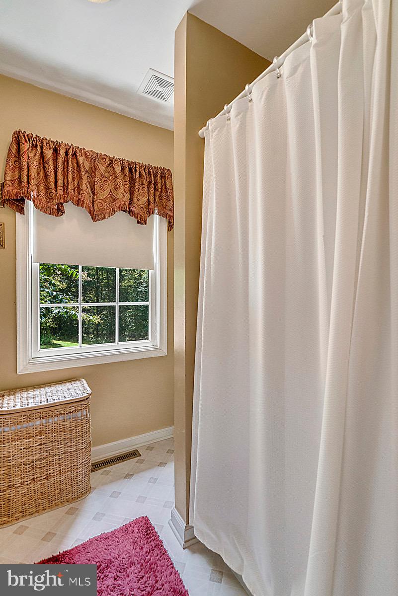 20065 Crooked Run Road Culpeper, VA 22701 - Photo 17 of 37 Master bath - separate shower