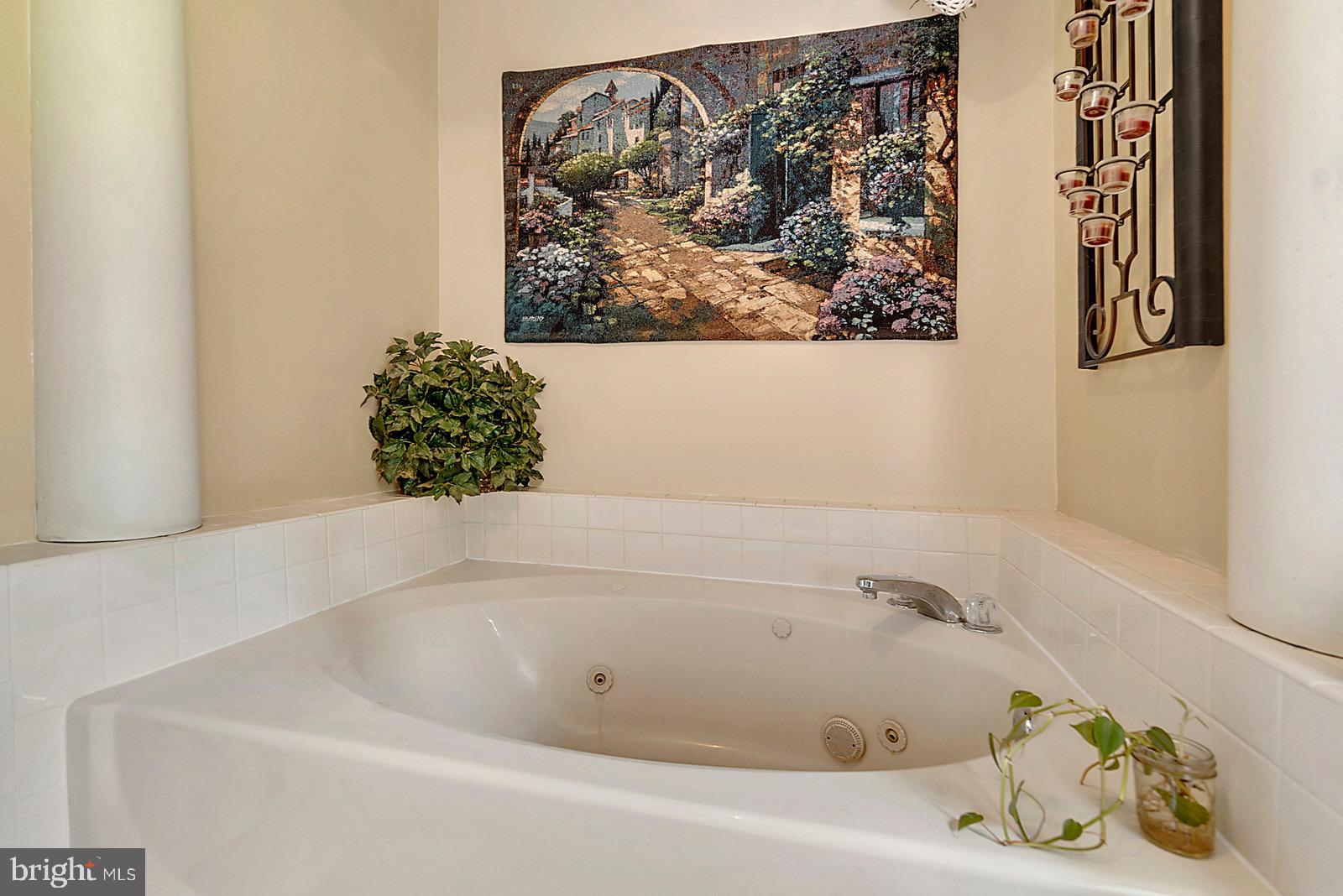 20065 Crooked Run Road Culpeper, VA 22701 - Photo 18 of 37 Master bath - soaking tub