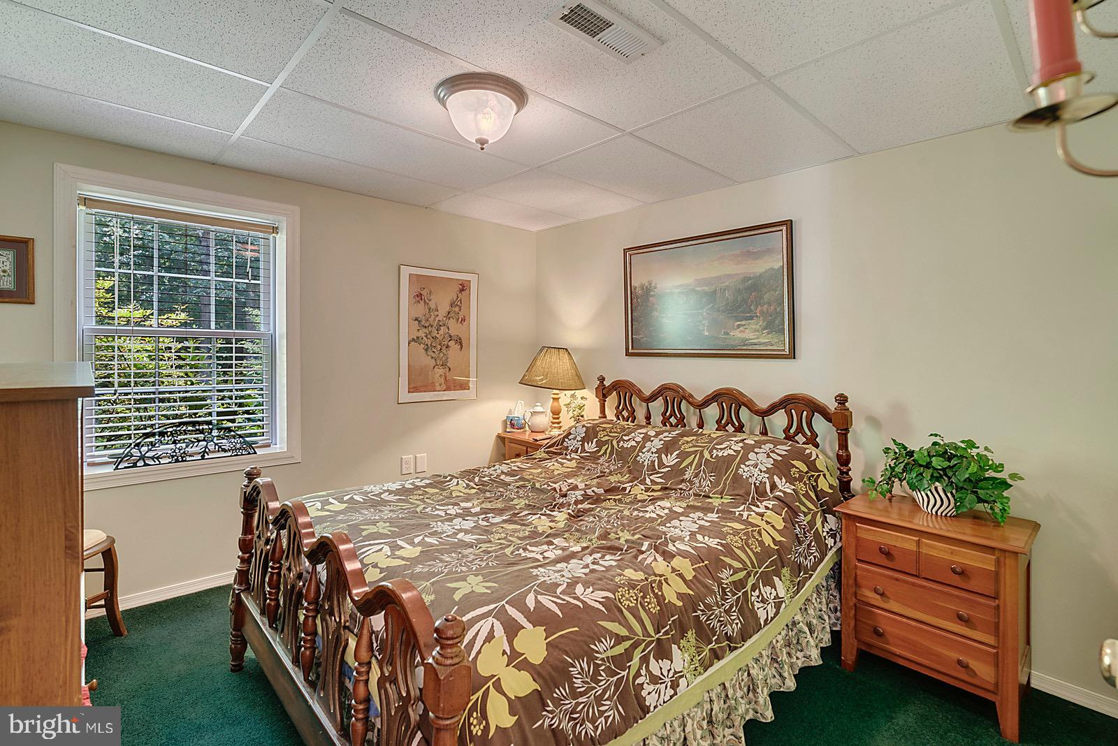 20065 Crooked Run Road Culpeper, VA 22701 - Photo 19 of 37 Lower level - Bedroom #4