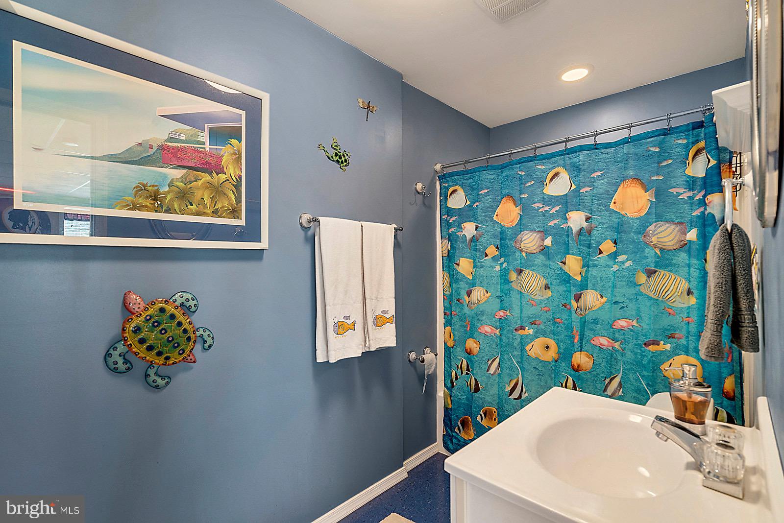 20065 Crooked Run Road Culpeper, VA 22701 - Photo 20 of 37 Lower level full bath