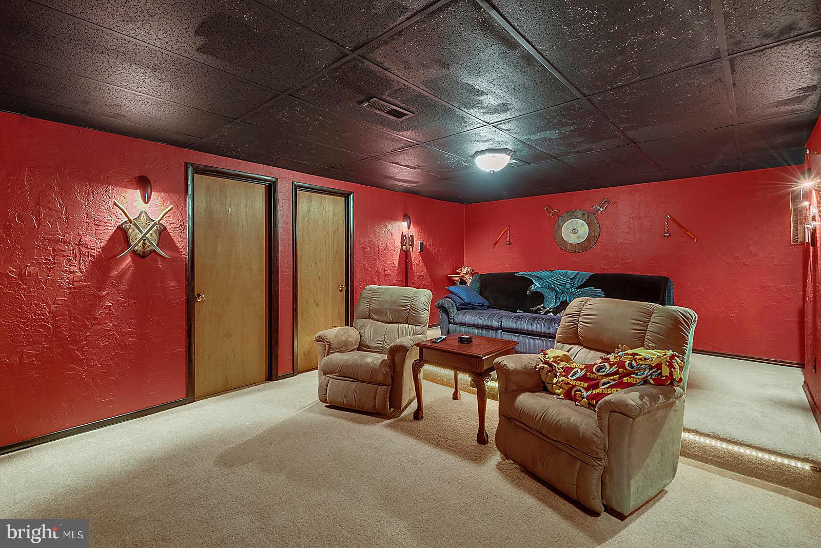 20065 Crooked Run Road Culpeper, VA 22701 - Photo 22 of 37 Movie theater room & access to storage rooms
