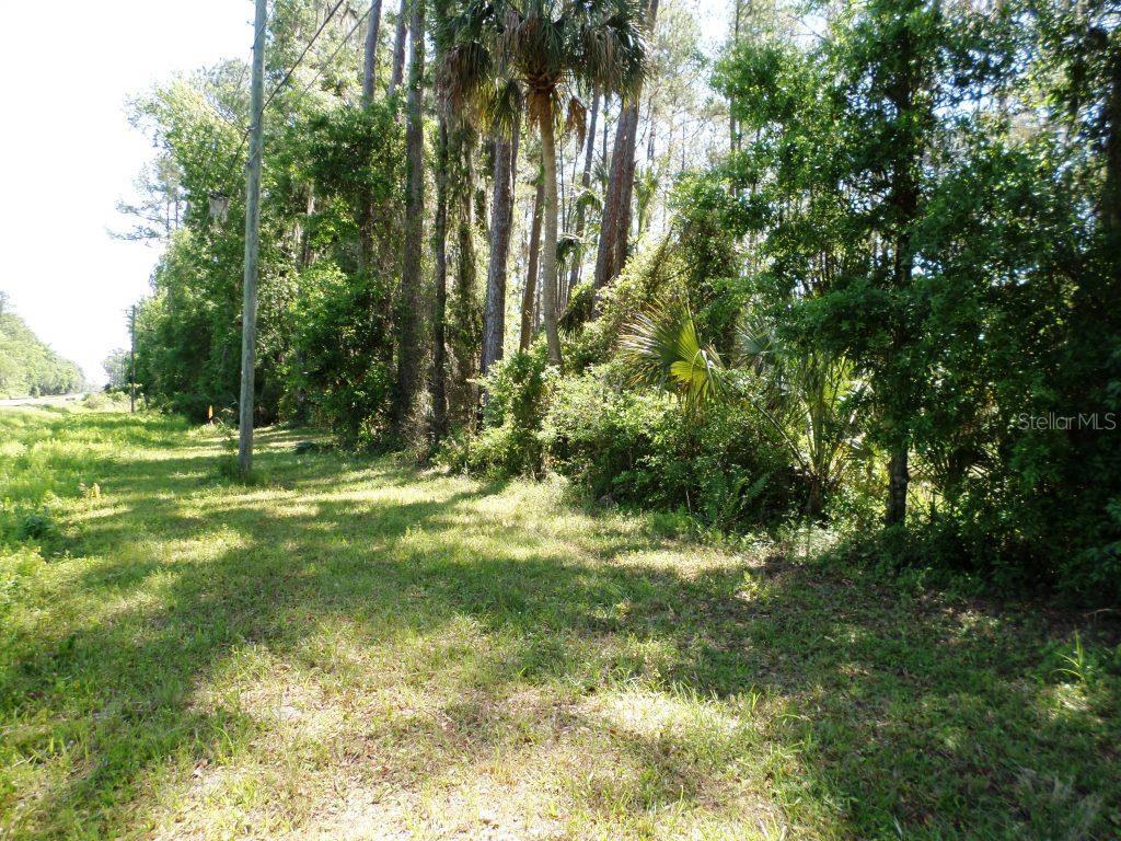 10150 State Highway 40 Inglis, FL 34449 - Photo 17 of 18 a view of outdoor space with a garden