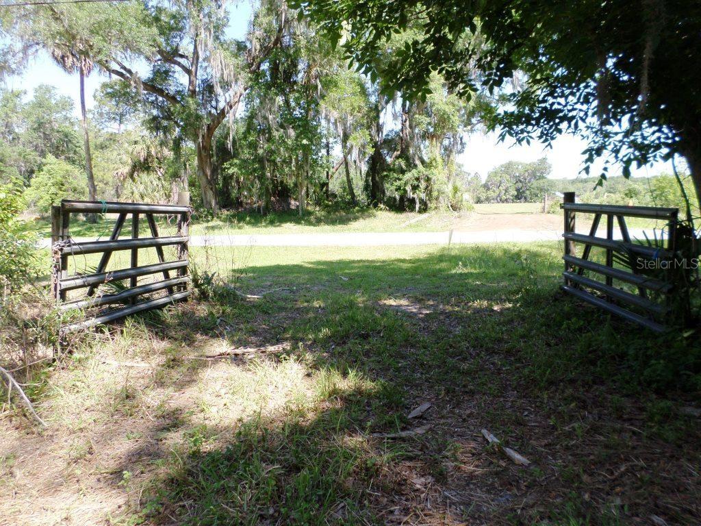 10150 State Highway 40 Inglis, FL 34449 - Photo 18 of 18 a view of backyard with tree