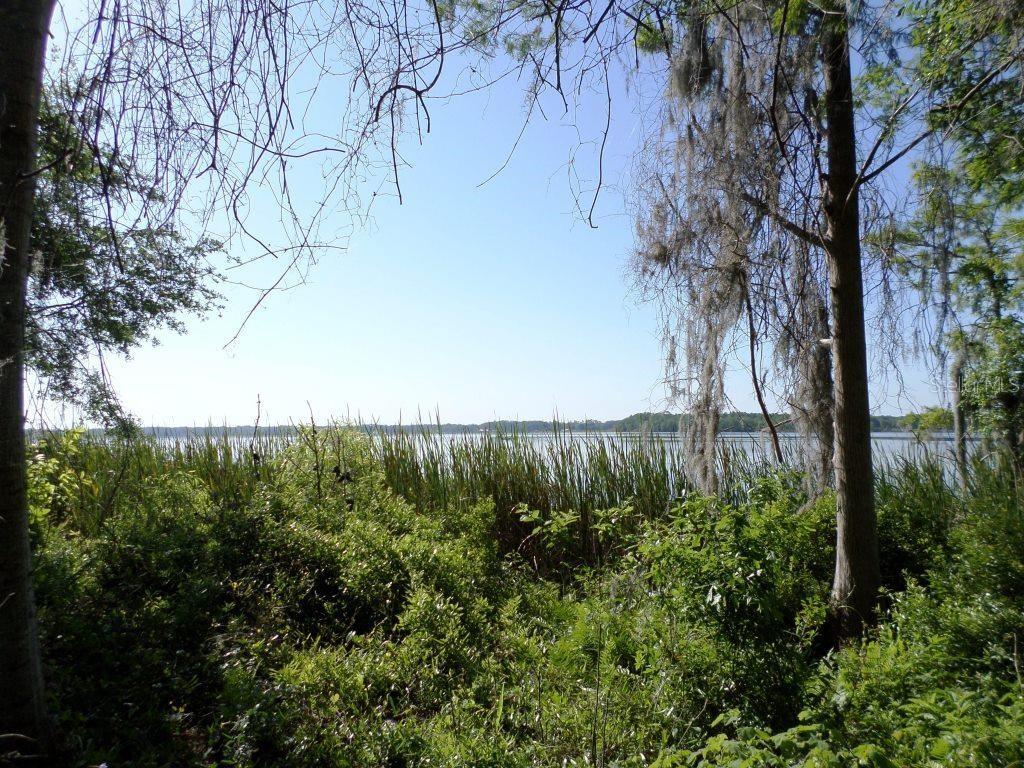 10150 State Highway 40 Inglis, FL 34449 - Photo 5 of 18 a view of a yard