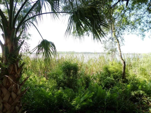 a view of outdoor space