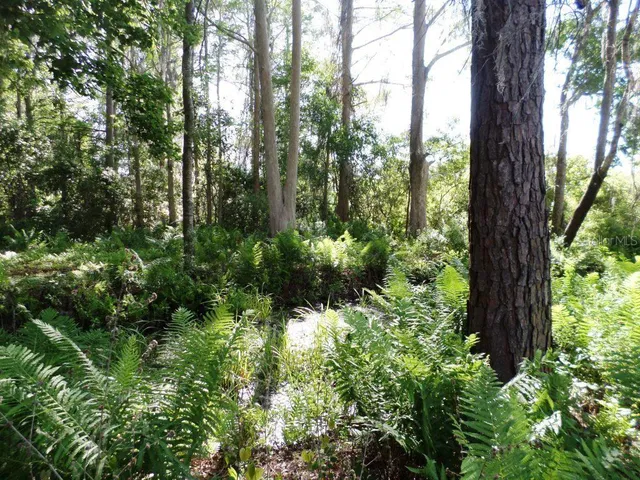 a view of outdoor space and trees