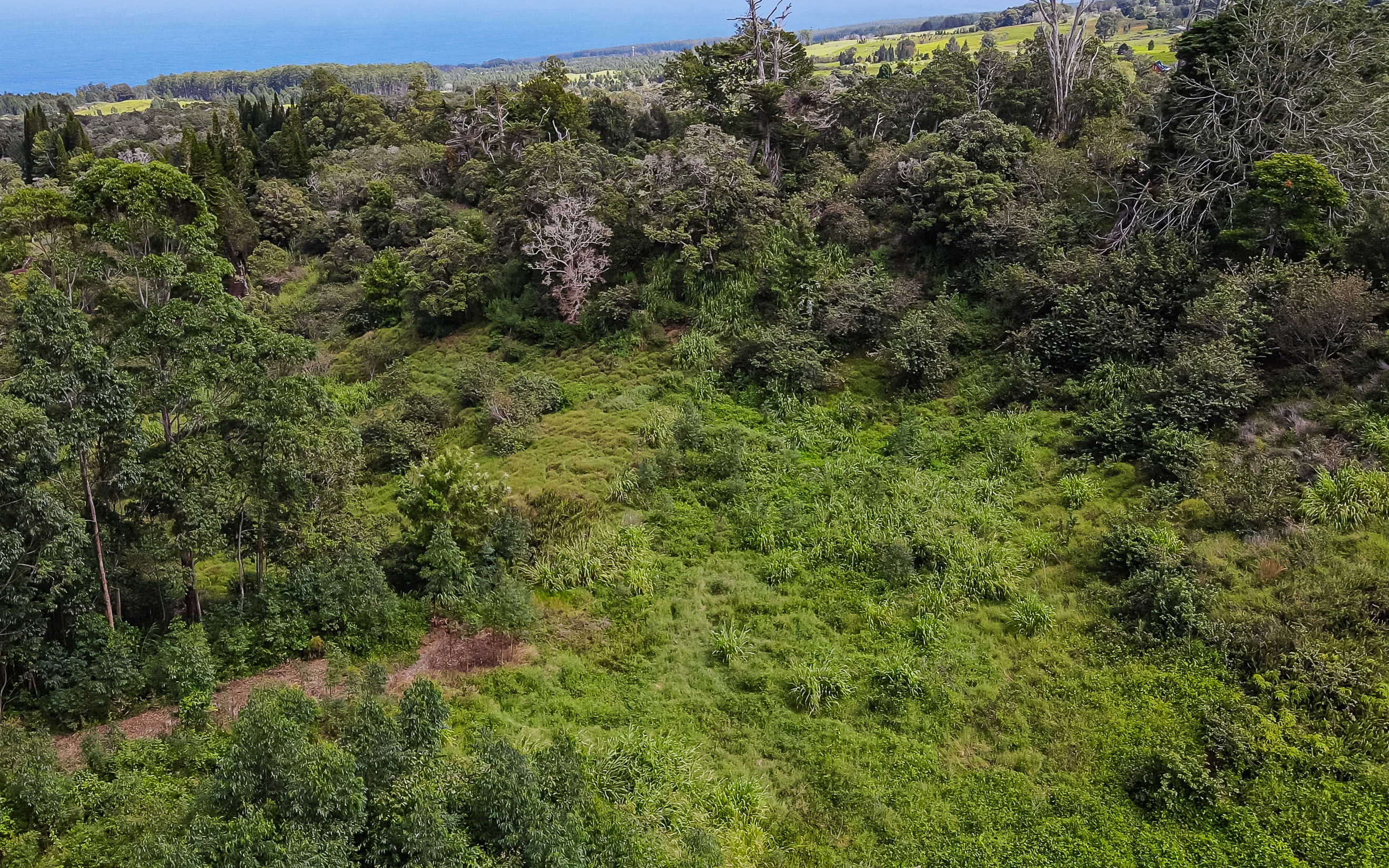 43-1815 Manienie Road Paauilo, HI 96776 - Photo 17 of 17