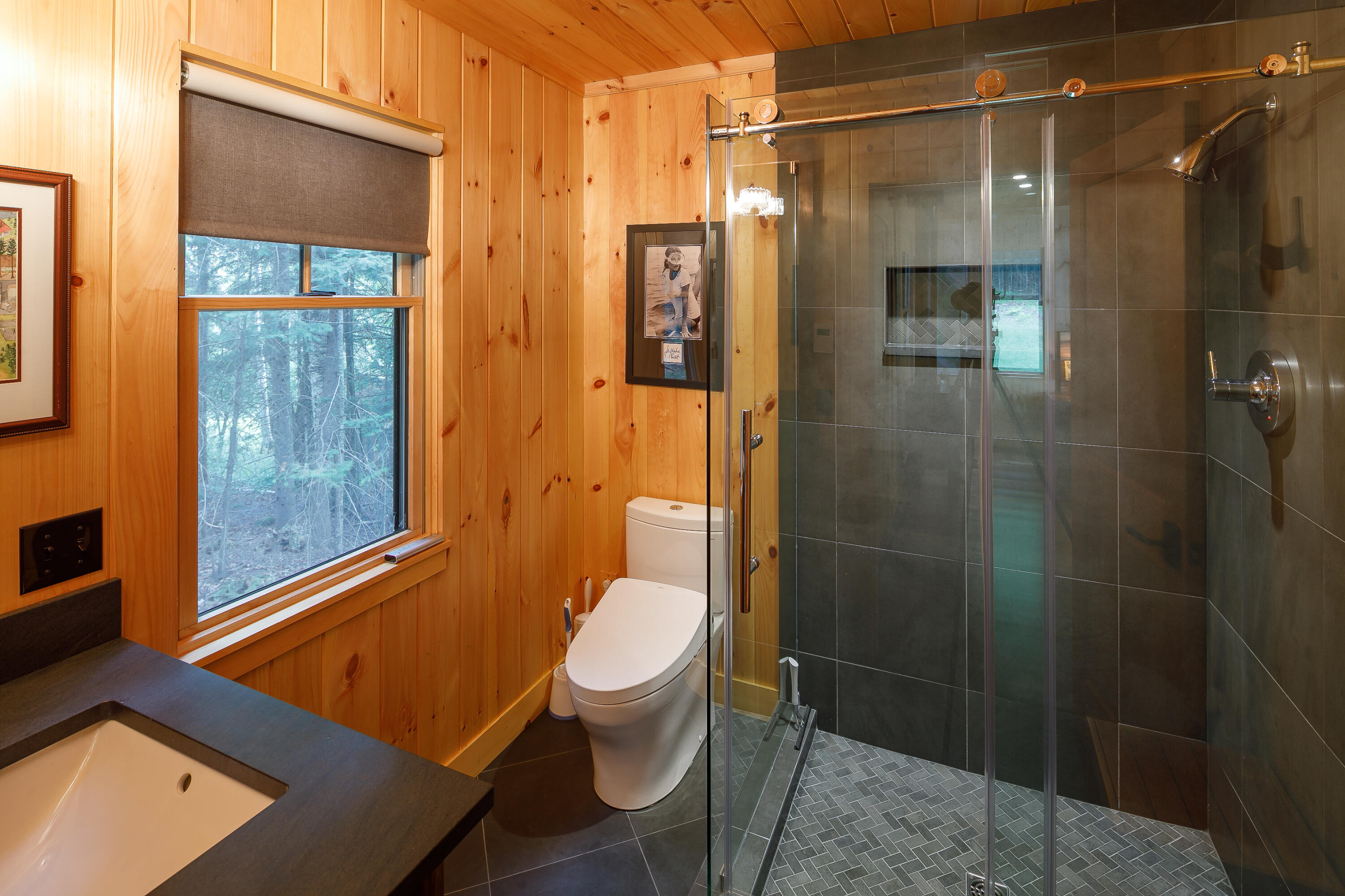 249 Bald Mountain Road Oquossoc, ME 04964 - Photo 53 of 60 5D4_4221