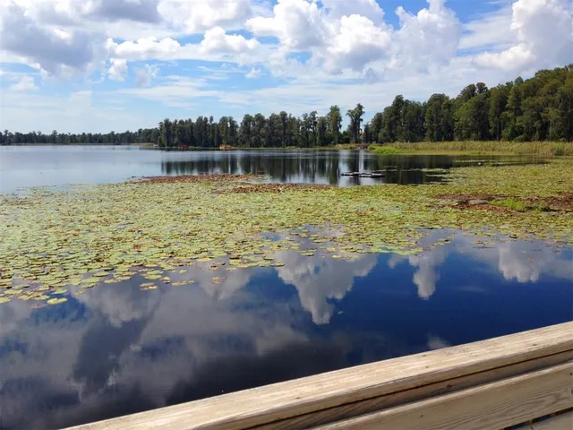 a view of a swimming pool with chairs