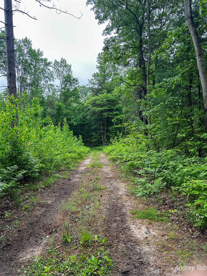0 Millerton Road Scottville, MI 49454 - Photo 2 of 12