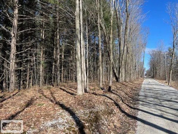 $65,000 | 0 Burton Road, Capac, MI 48014