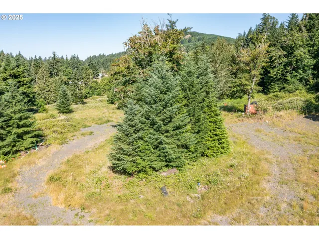 a view of a big yard with lots of trees