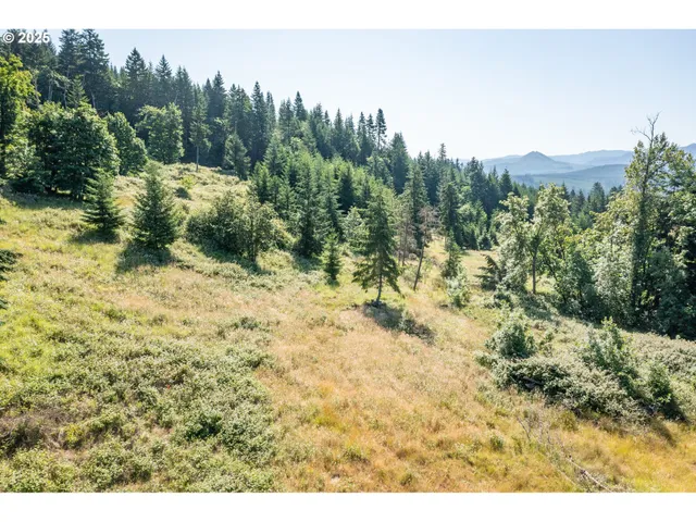 a view of a yard with a tree