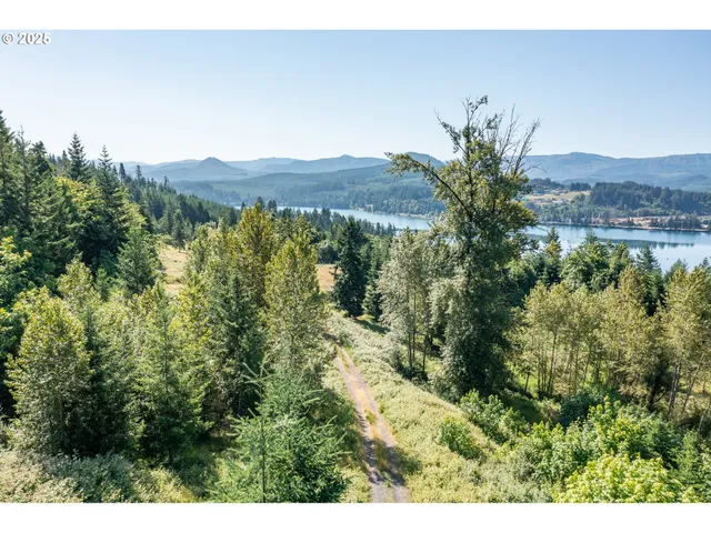 a view of a back yard