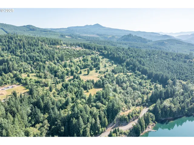a view of a lush green field