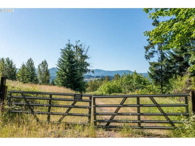 a view of outdoor with green space